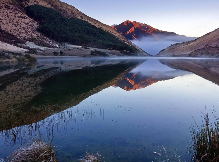 新日恒力15.66亿控股博雅干细胞 大举进军健康产业