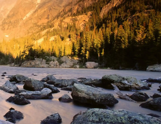 哈尔滨市平房区（哈经开区）举办“院士经开行”暨“生物经济高端对话”